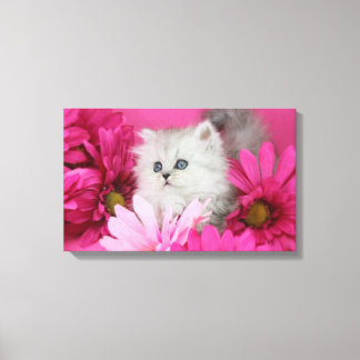 Kittens, Cats, Pink, Polka Dots Canvas Print