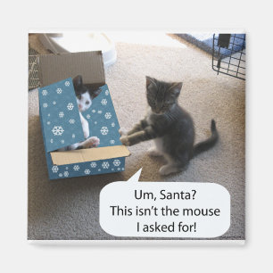 Kitten's Christmas Surprise Magnet