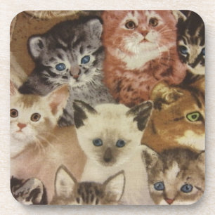 Kittens Coaster