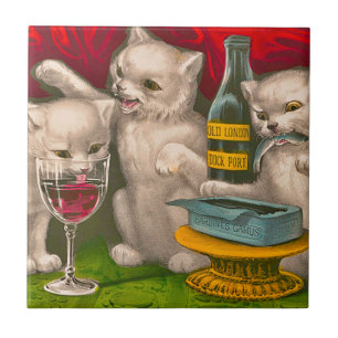 Kittens drinking and eating sardine fish tile