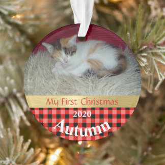 Kitten's First Christmas Photo Ornament