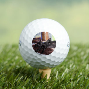 Kittens Golf Balls