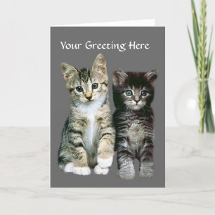 Kittens Greeting Card