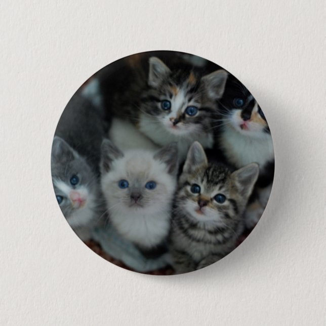 Kittens In A Basket 2 Inch Round Button (Front)