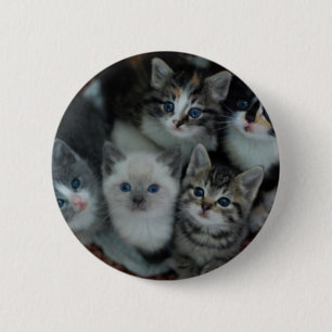 Kittens In A Basket 2 Inch Round Button