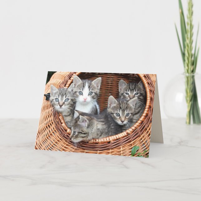 kittens in a basket greeting card (Front)