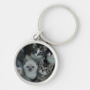 Kittens In A Basket Keychain