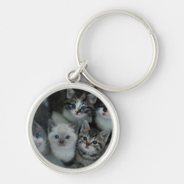 Kittens In A Basket Keychain (Front)