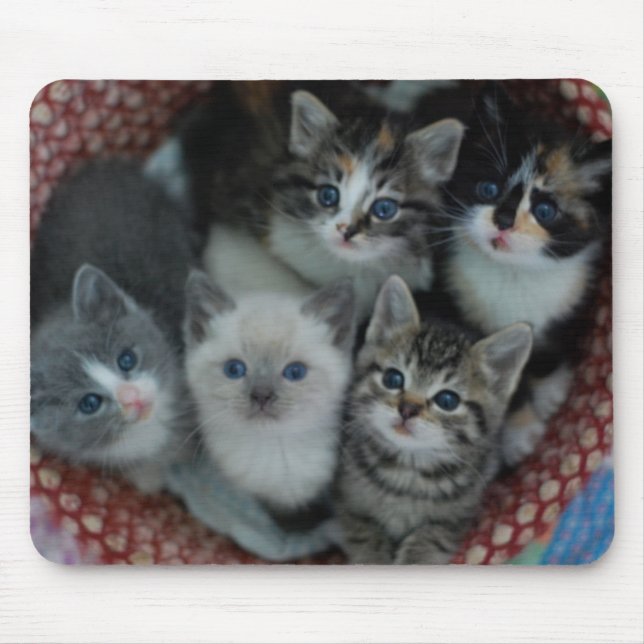 Kittens In A Basket Mouse Pad (Front)