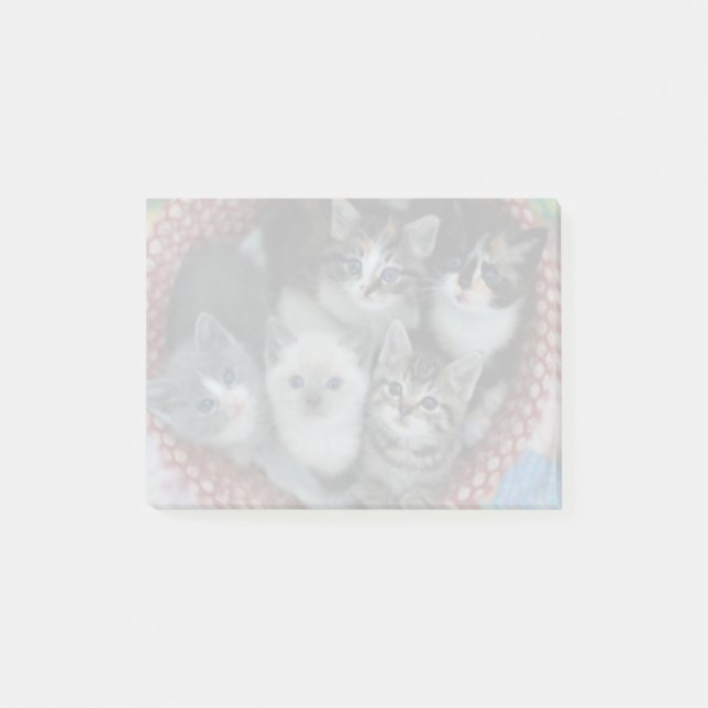 Kittens In A Basket Post-it Notes (Front)