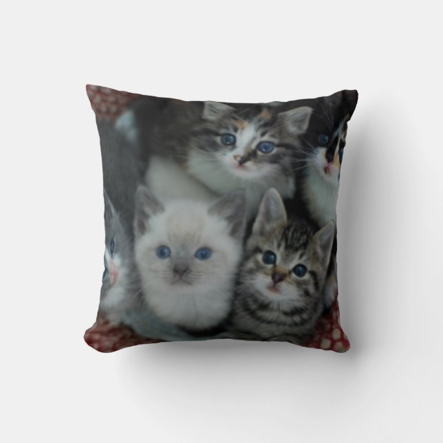 Kittens In A Basket Throw Pillow (Front)