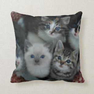 Kittens In A Basket Throw Pillow