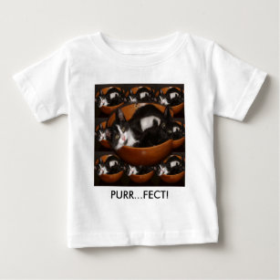 Kittens in a Bowl with Pattern Baby T-Shirt