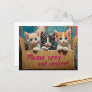 Kittens in a Box Please Spay and Neuter Postcard