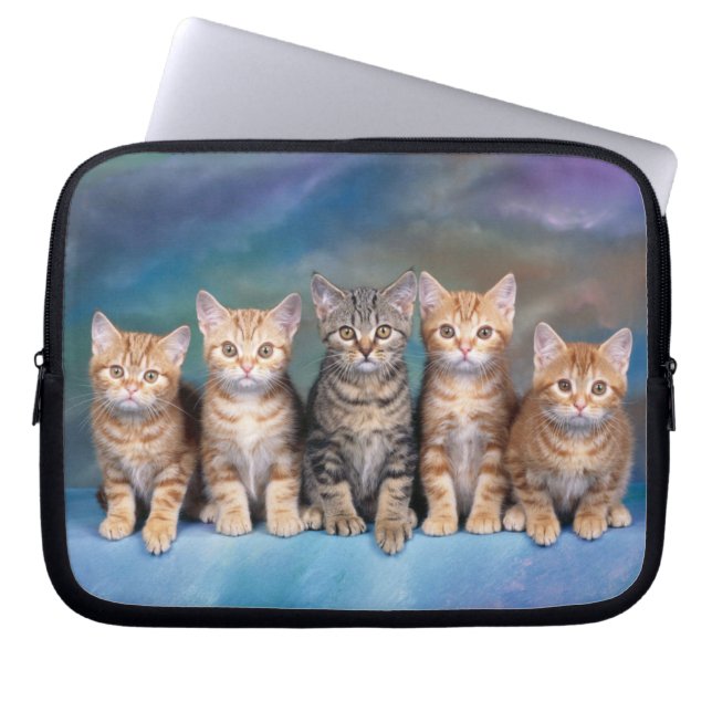 Kittens in a Row Laptop Sleeve (Front)