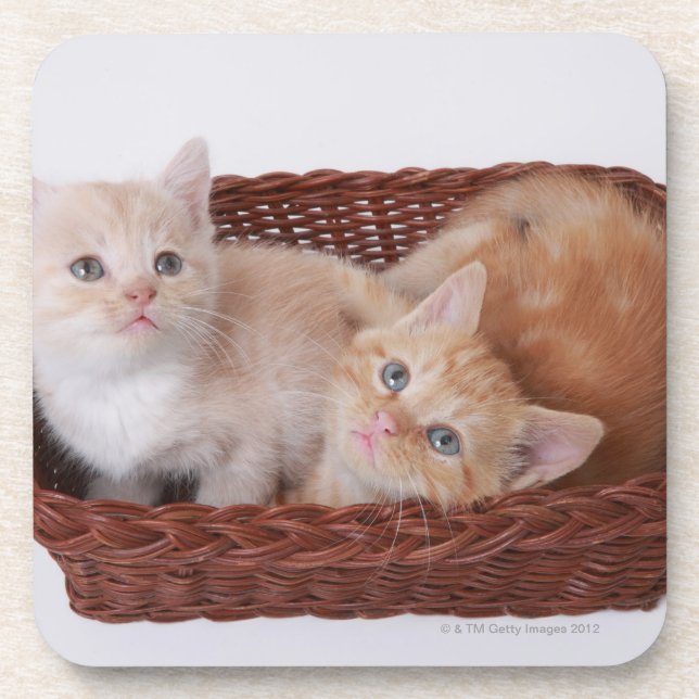 Kittens in basket coaster (Front)