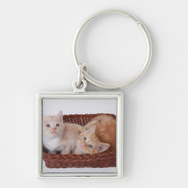 Kittens in basket keychain (Front)