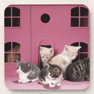 Kittens in doll's house coaster