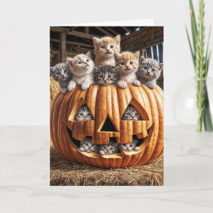 Kittens In Halloween Pumpkin Card