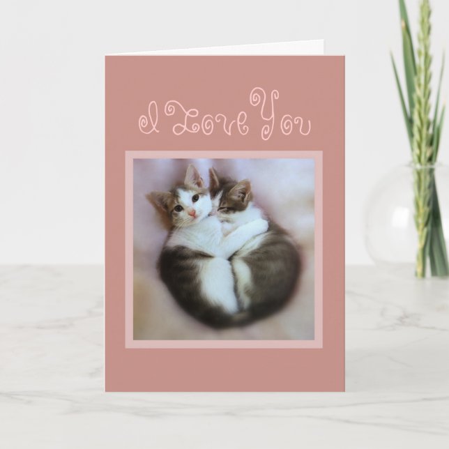 Kittens in Love Card (Front)