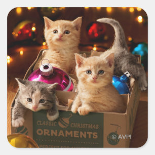 Kittens in Ornament Box Square Sticker