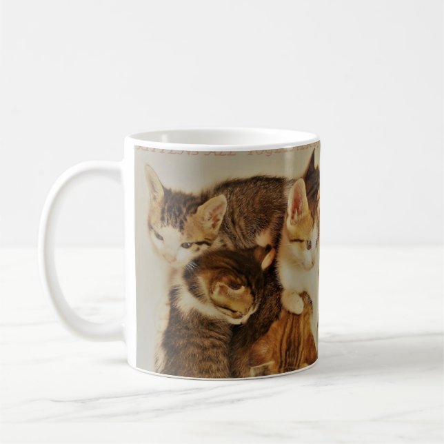 Kittens in repose picture original     coffee mug (Left)