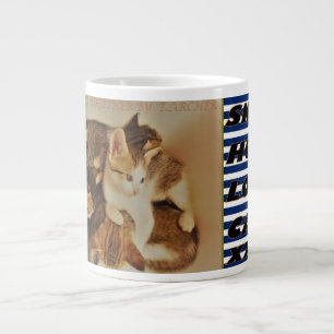 Kittens in repose picture original large coffee mug