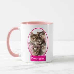 Kittens in Tutus Mug