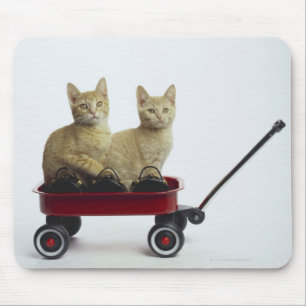 Kittens in wagon mouse pad