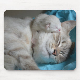 Kittens mom and son mouse pad