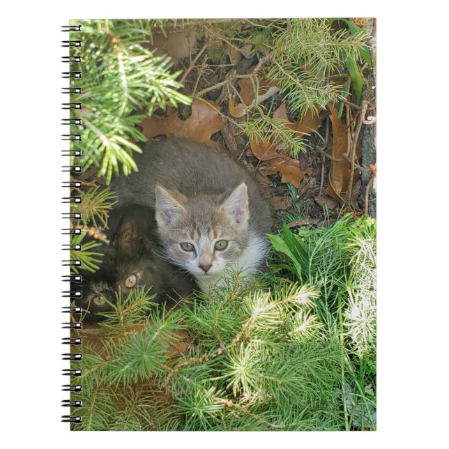Kittens Notebook (Front)