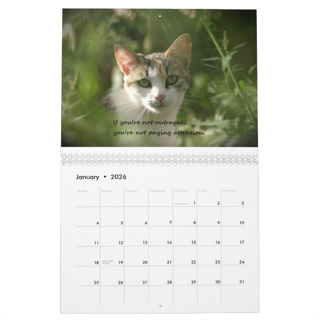 Kittens of Conscience Calendar (Jan 2026)