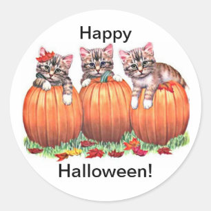 Kittens on Pumpkins for Halloween Stickers