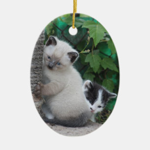 Kittens ornament