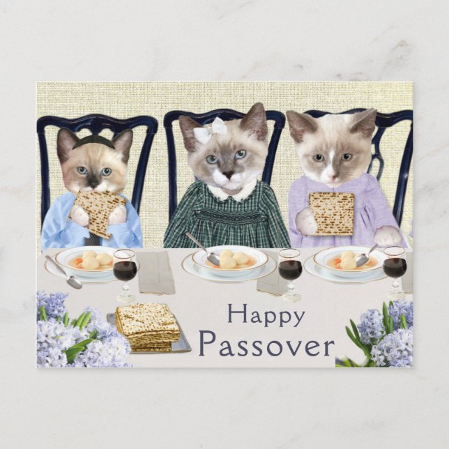 Kittens Passover Postcard (Front)
