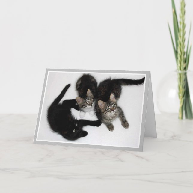 Kittens Pensez à votre carte (Devant)