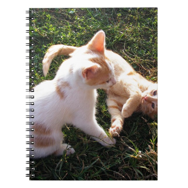 Kittens playing in a garden notebook (Front)