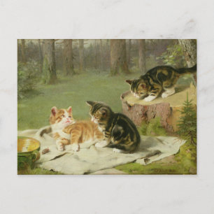 Kittens Playing Postcard