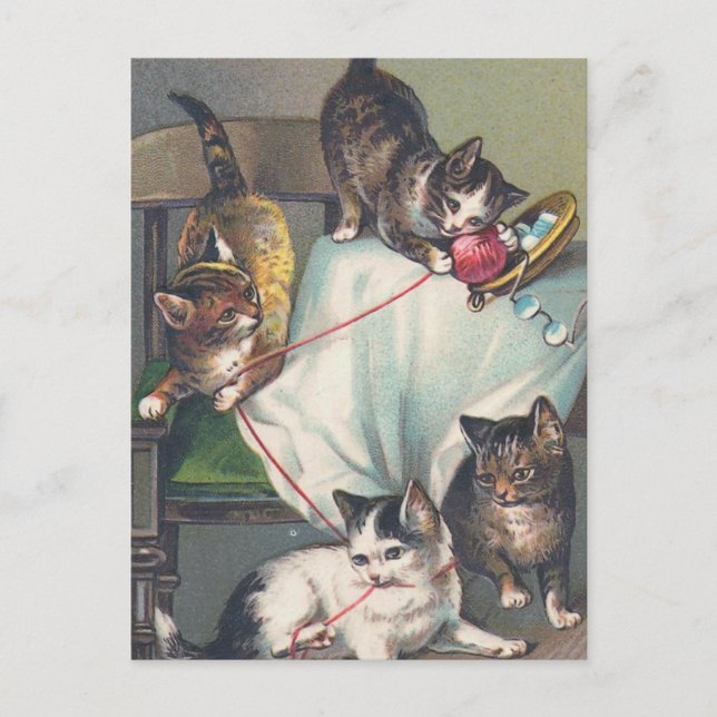 "Kittens Playing with Knitting Wool" Postcard (Front)