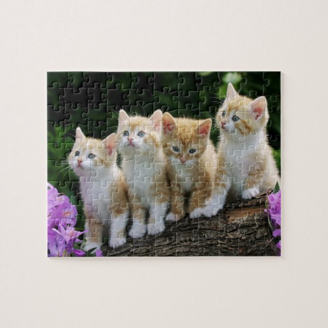 Kittens Puzzle (Horizontal)