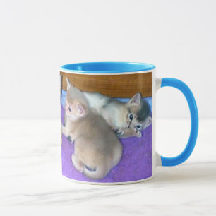 Kittens Six Weeks Old Abyssinians Mug