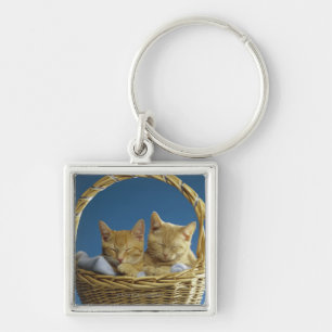 Kittens sleeping in basket keychain