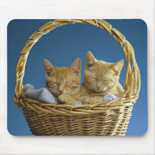 Kittens sleeping in basket mouse pad