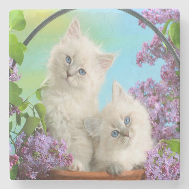 Kittens Stone Coaster (Front)