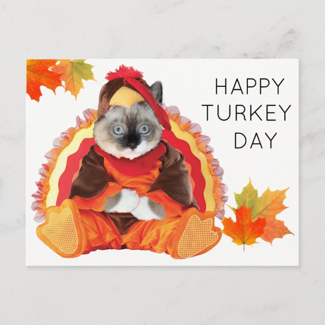 Kittens Thanksgiving Turkey Day Postcard (Front)
