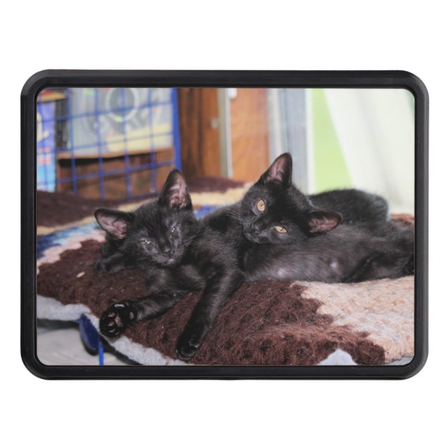 Kittens  trailer hitch cover (Front)