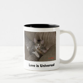 Kittens Two-Tone Coffee Mug