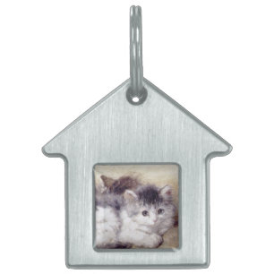 KITTENS Waking up Pet Name Tag