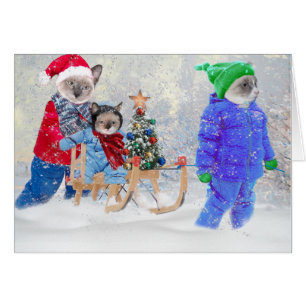 Kittens Winter Wonderland Greeting Card