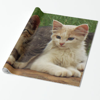 Kittens Wrapping Paper
